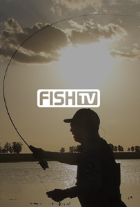 Fish TV Online