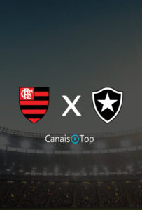 Flamengo x Botafogo – Ao Vivo – 30/04/2023 – 16h00