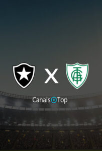 Botafogo x América-MG – Ao Vivo – 28/05/2023 – 19h00
